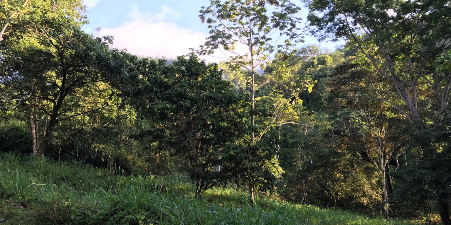 1 (27) The Largest Ready to Build Residential Lot in the Beautiful Gated Community of Turistico Tortuga Phase 6 in Ojochal Costa Rica