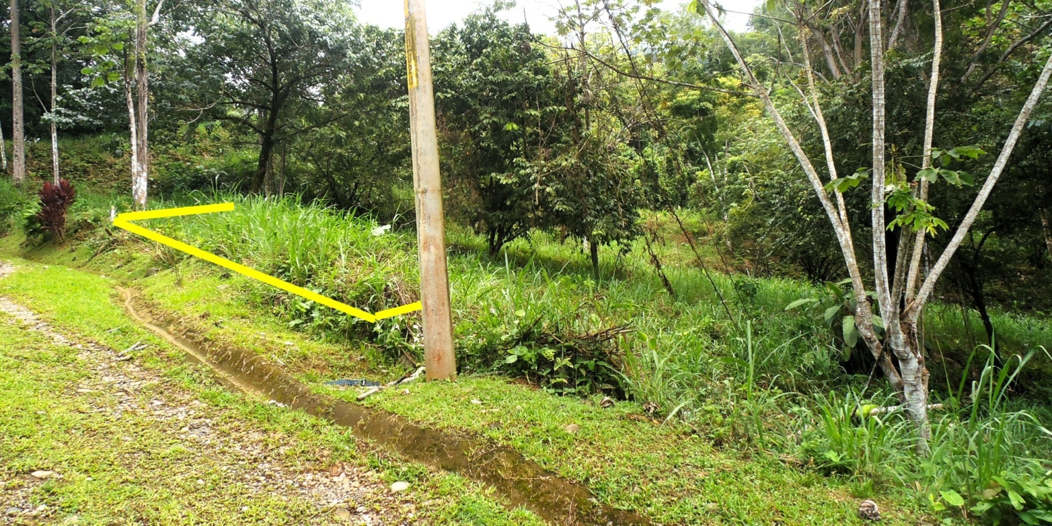 1 (25) The Largest Ready to Build Residential Lot in the Beautiful Gated Community of Turistico Tortuga Phase 6 in Ojochal Costa Rica