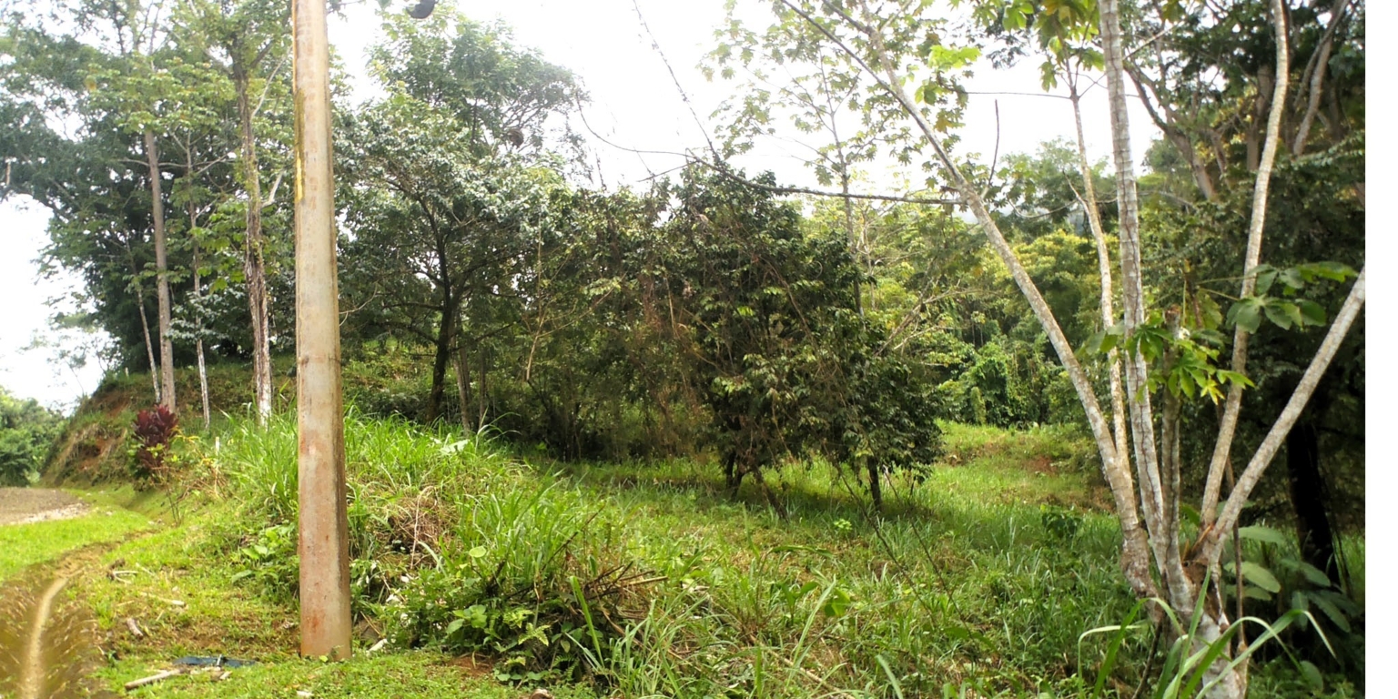 1 (24) The Largest Ready to Build Residential Lot in the Beautiful Gated Community of Turistico Tortuga Phase 6 in Ojochal Costa Rica