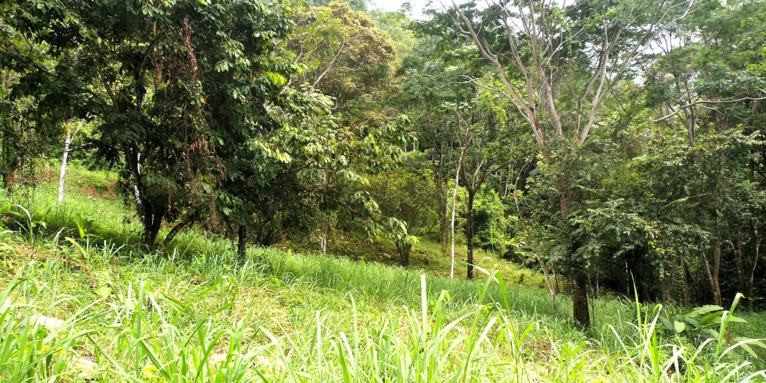 1 (22) The Largest Ready to Build Residential Lot in the Beautiful Gated Community of Turistico Tortuga Phase 6 in Ojochal Costa Rica