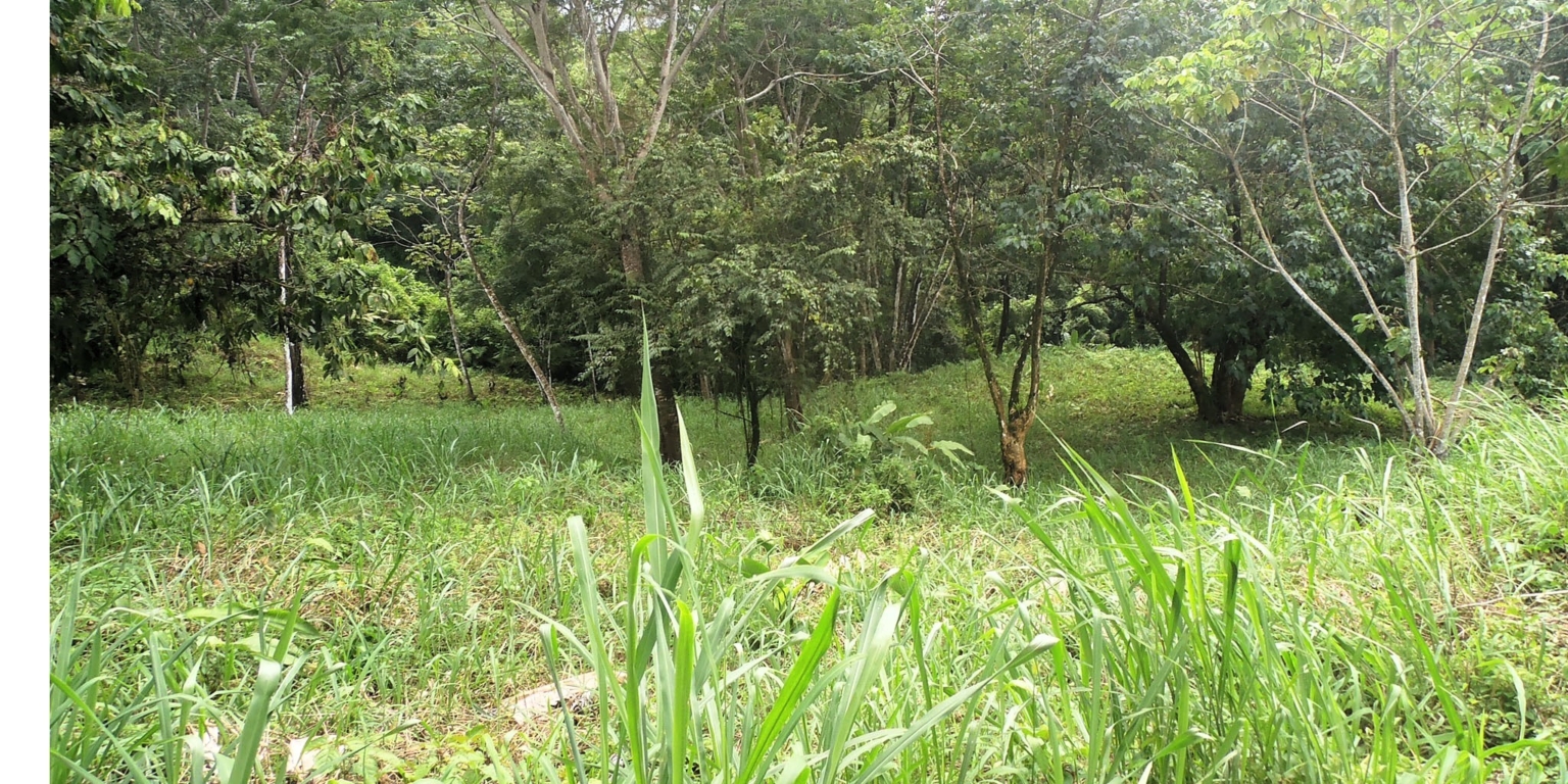 1 (21) The Largest Ready to Build Residential Lot in the Beautiful Gated Community of Turistico Tortuga Phase 6 in Ojochal Costa Rica