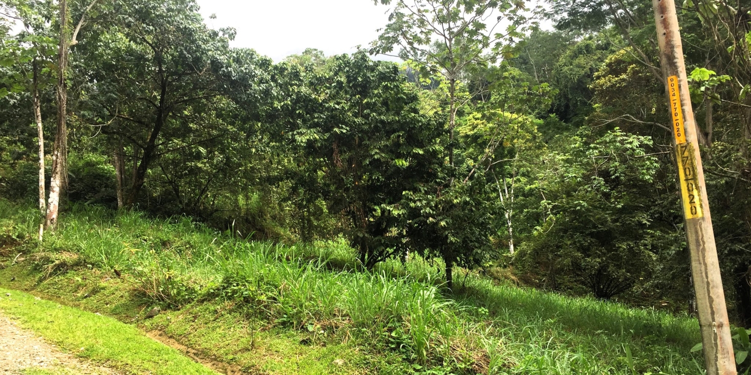 1 (16) The Largest Ready to Build Residential Lot in the Beautiful Gated Community of Turistico Tortuga Phase 6 in Ojochal Costa Rica