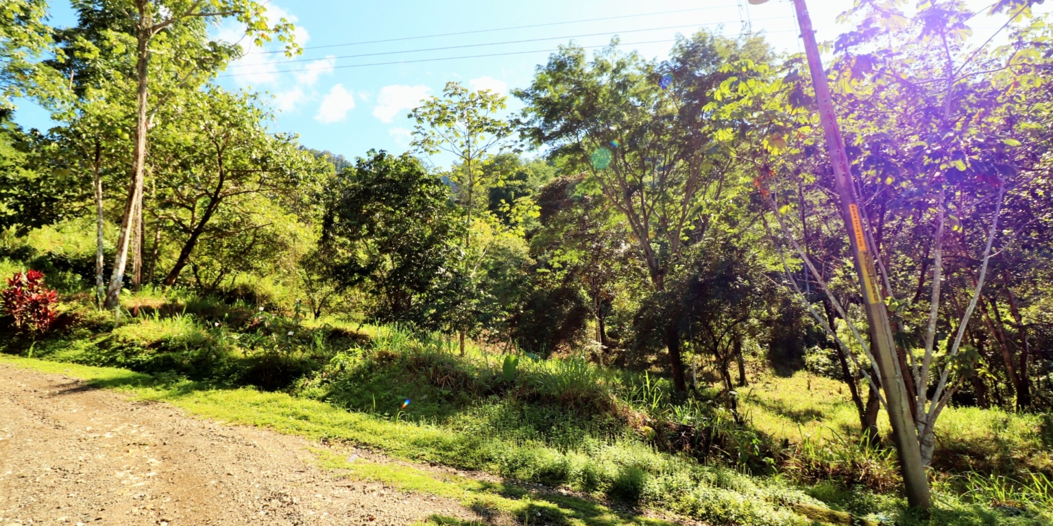 1 (12) The Largest Ready to Build Residential Lot in the Beautiful Gated Community of Turistico Tortuga Phase 6 in Ojochal Costa Rica