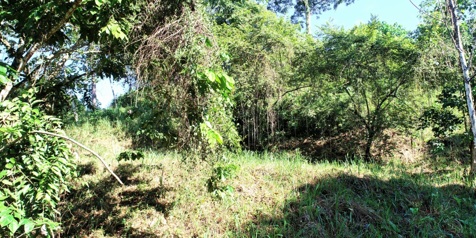 1 (10) The Largest Ready to Build Residential Lot in the Beautiful Gated Community of Turistico Tortuga Phase 6 in Ojochal Costa Rica