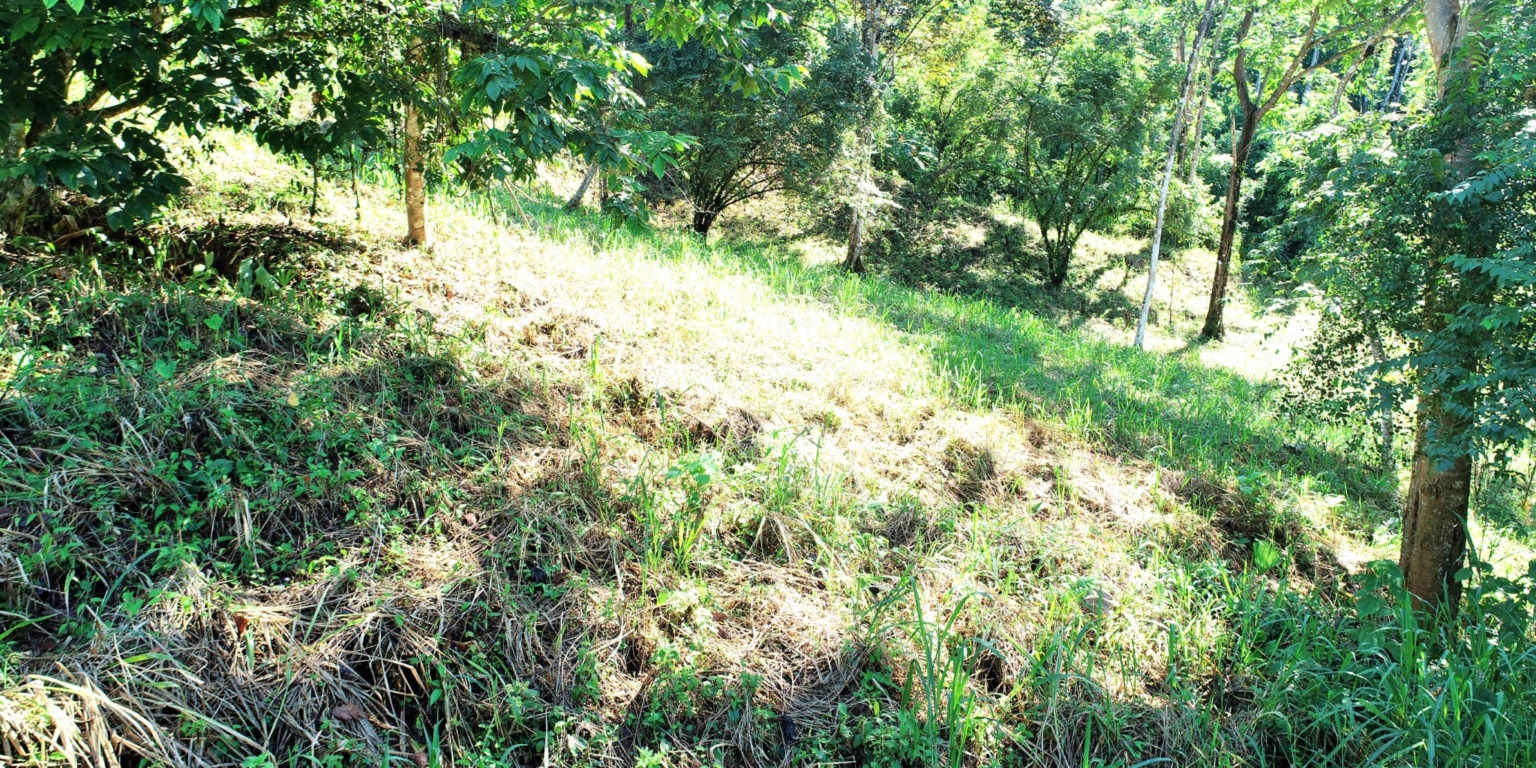 1 (6) The Largest Ready to Build Residential Lot in the Beautiful Gated Community of Turistico Tortuga Phase 6 in Ojochal Costa Rica