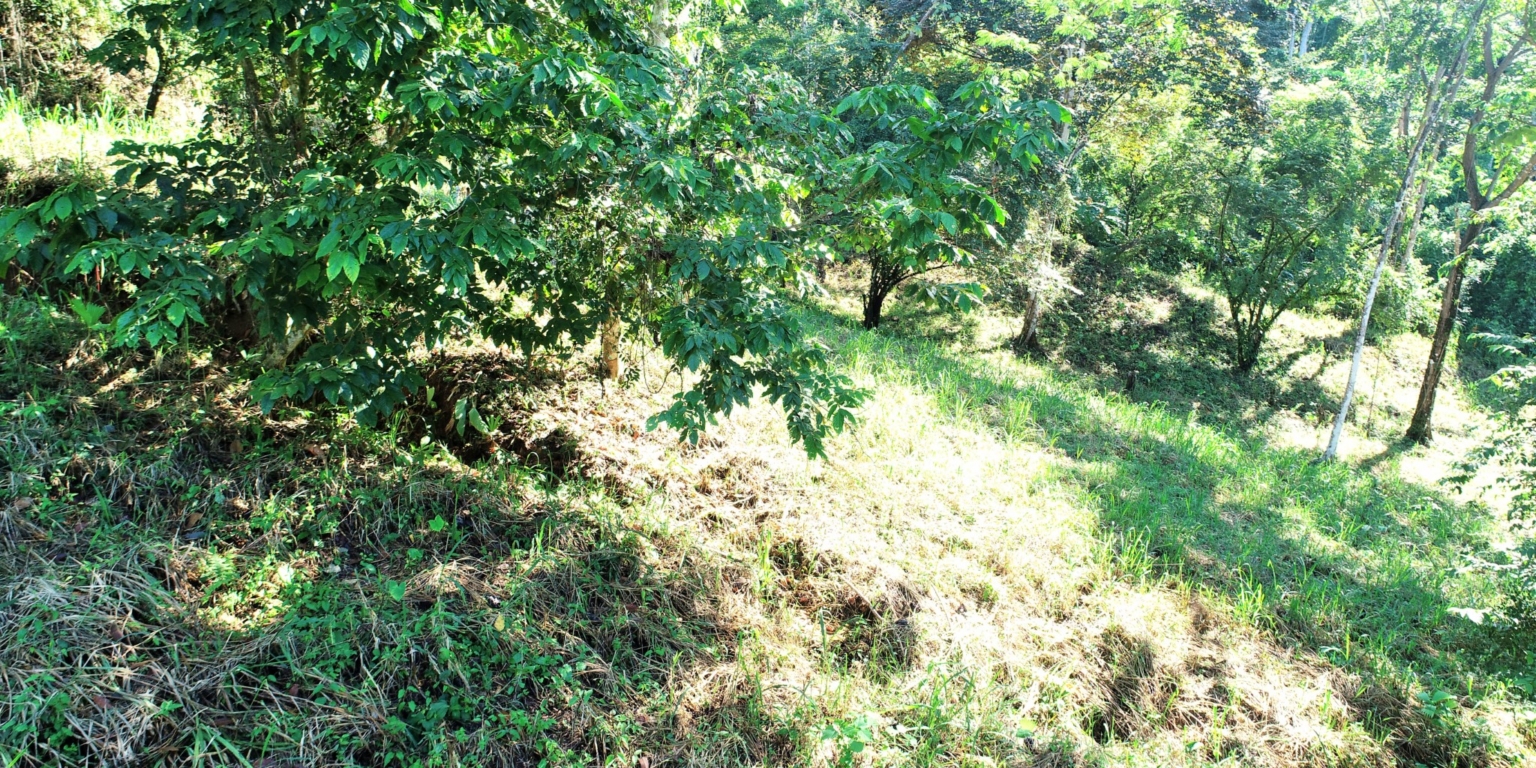 1 (5) The Largest Ready to Build Residential Lot in the Beautiful Gated Community of Turistico Tortuga Phase 6 in Ojochal Costa Rica
