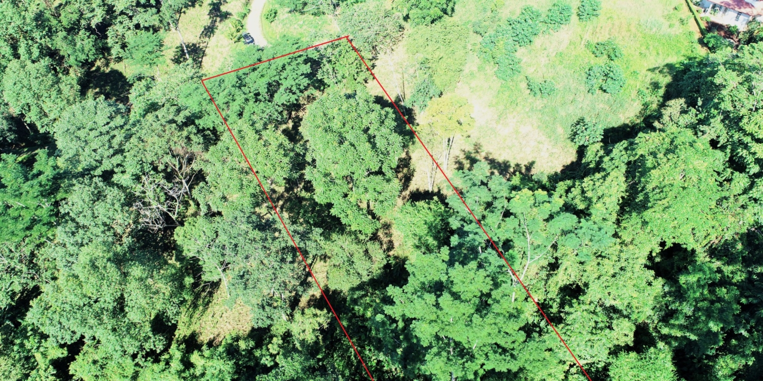 1 (2) The Largest Ready to Build Residential Lot in the Beautiful Gated Community of Turistico Tortuga Phase 6 in Ojochal Costa Rica