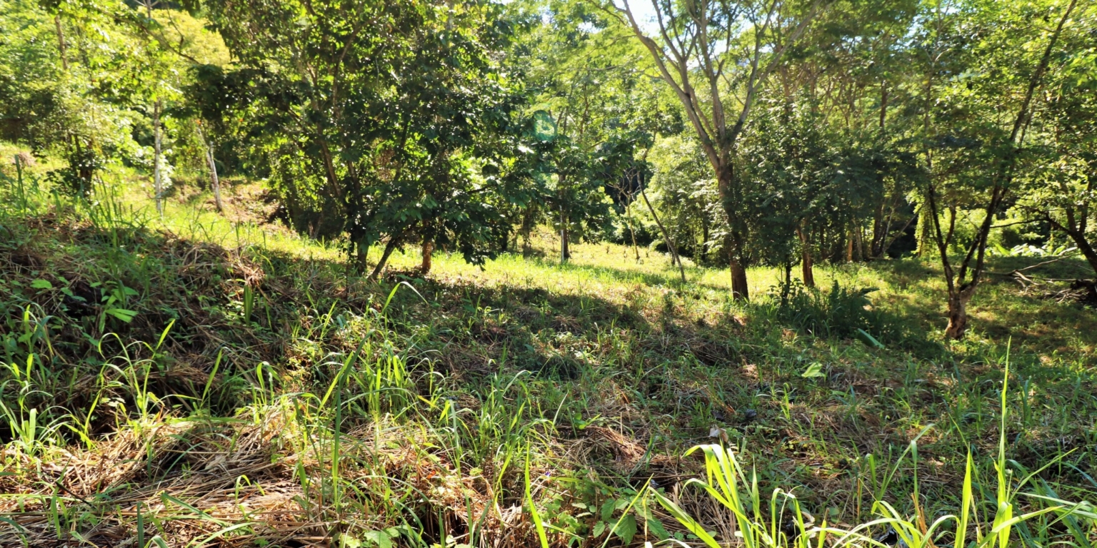 1 (1) The Largest Ready to Build Residential Lot in the Beautiful Gated Community of Turistico Tortuga Phase 6 in Ojochal Costa Rica