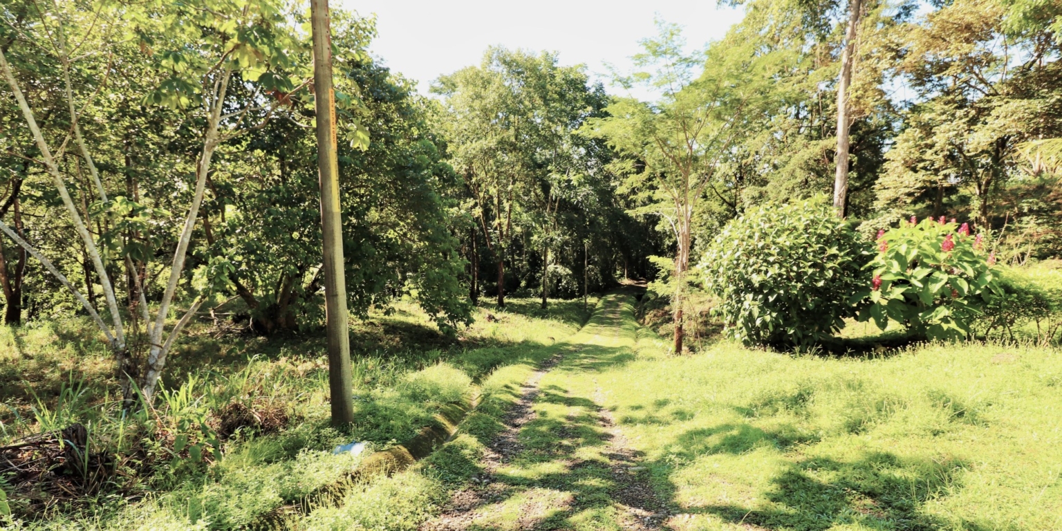1 (4) The Largest Ready to Build Residential Lot in the Beautiful Gated Community of Turistico Tortuga Phase 6 in Ojochal Costa Rica