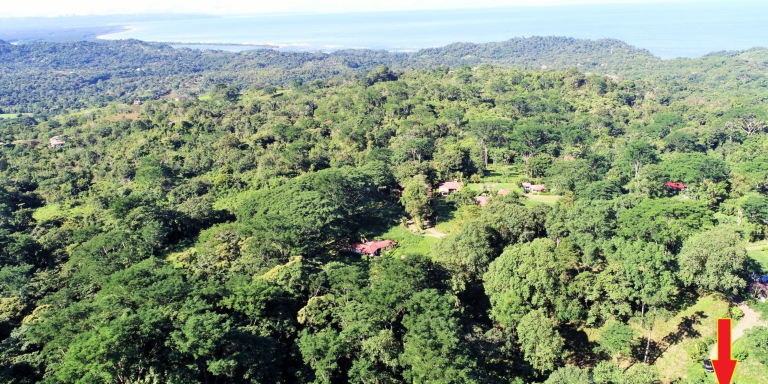 1 (3) The Largest Ready to Build Residential Lot in the Beautiful Gated Community of Turistico Tortuga Phase 6 in Ojochal Costa Rica