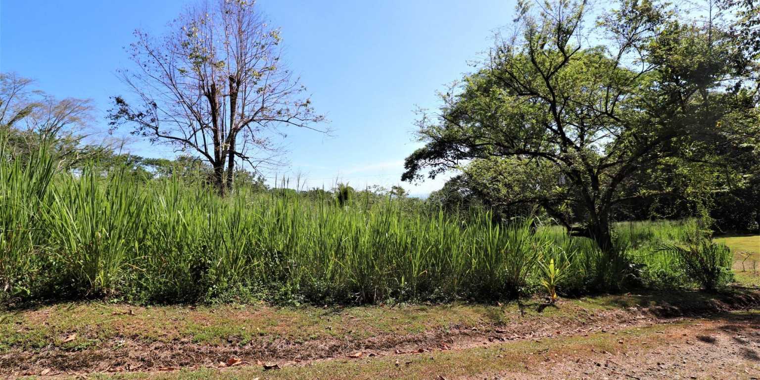 Large Corner Ocean View Lot in a Well-Established Gated Community of Touristico Tortuga Phase 6 in Ojochal Costa Rica