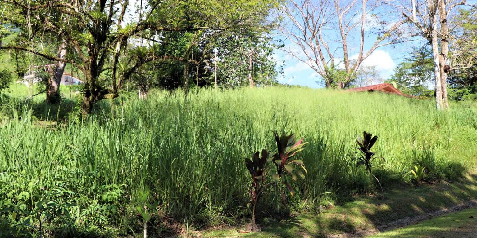 Large Corner Ocean View Lot in a Well-Established Gated Community of Touristico Tortuga Phase 6 in Ojochal Costa Rica