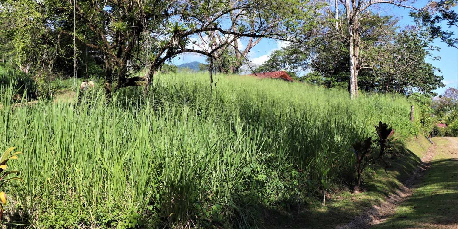 Large Corner Ocean View Lot in a Well-Established Gated Community of Touristico Tortuga Phase 6 in Ojochal Costa Rica