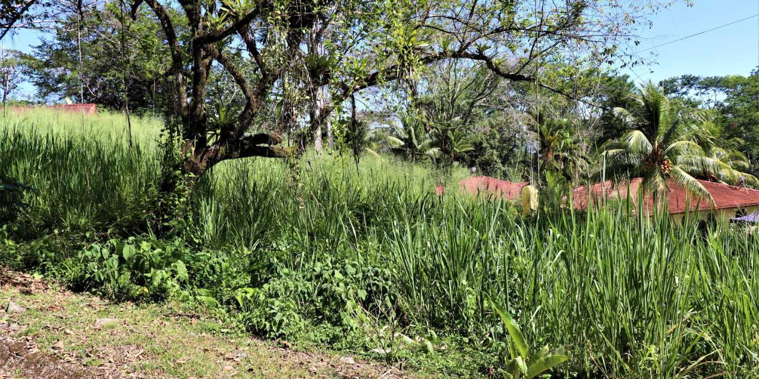 Large Corner Ocean View Lot in a Well-Established Gated Community of Touristico Tortuga Phase 6 in Ojochal Costa Rica