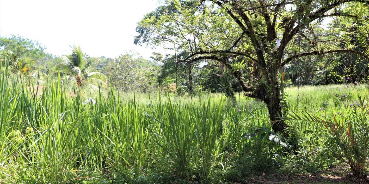 Large Corner Ocean View Lot in a Well-Established Gated Community of Touristico Tortuga Phase 6 in Ojochal Costa Rica