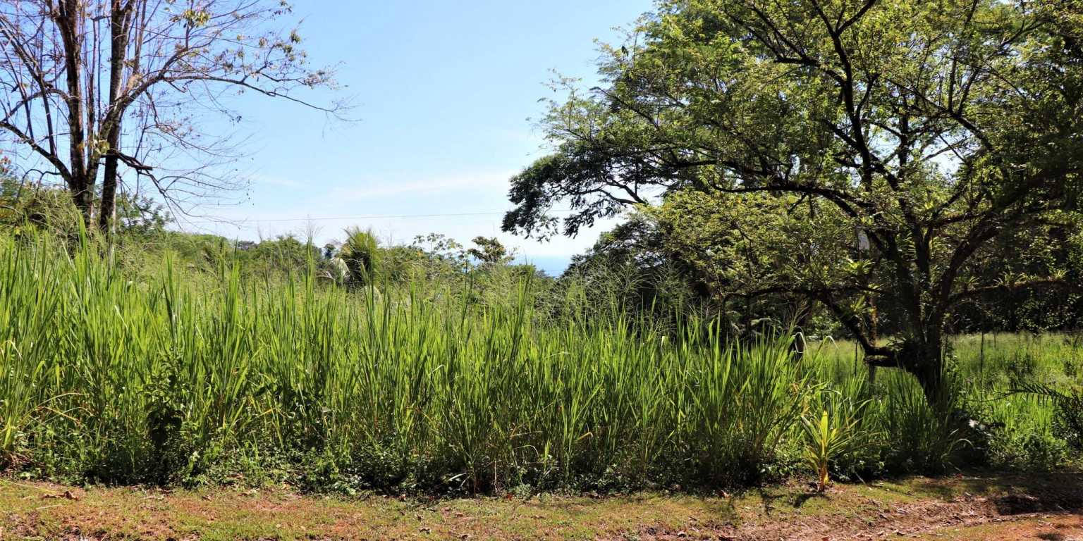 Large Corner Ocean View Lot in a Well-Established Gated Community of Touristico Tortuga Phase 6 in Ojochal Costa Rica