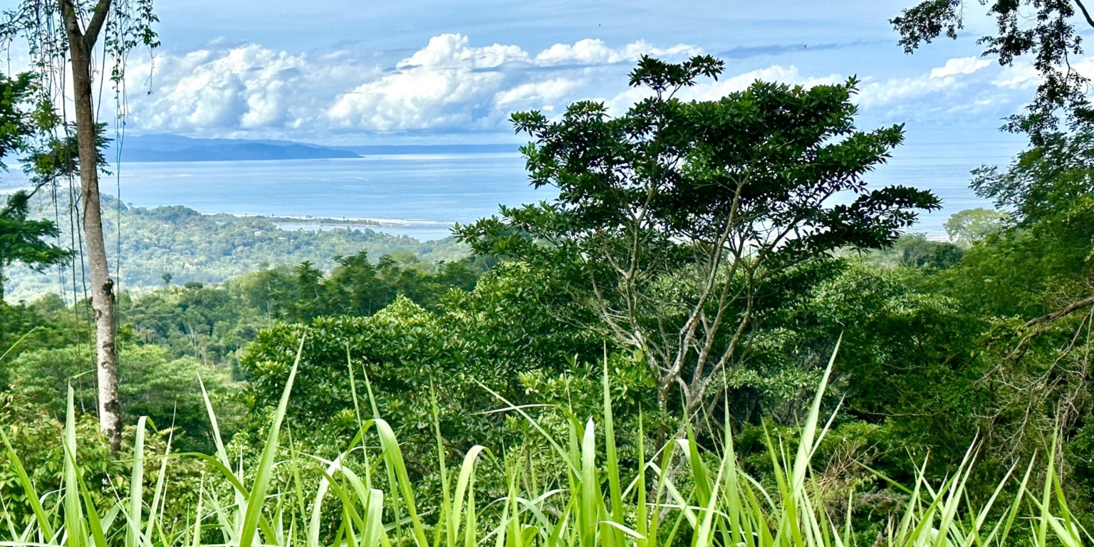 Safe & Private Building Lot in a Gated Community with Incredible Ocean Views & Legal Water in Turistico Tortuga Phase 6 in Ojochal Costa Rica