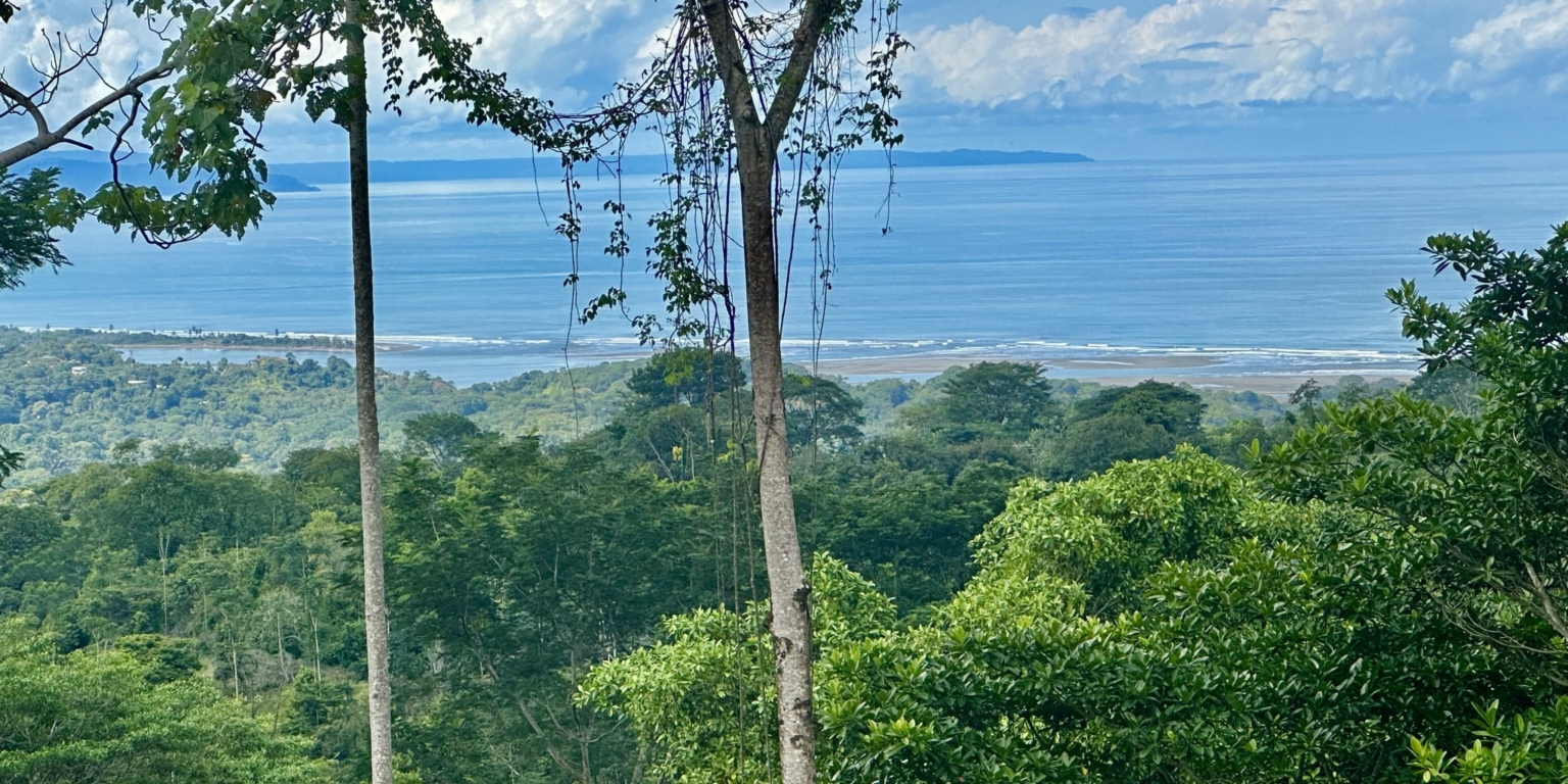Safe & Private Building Lot in a Gated Community with Incredible Ocean Views & Legal Water in Turistico Tortuga Phase 6 in Ojochal Costa Rica