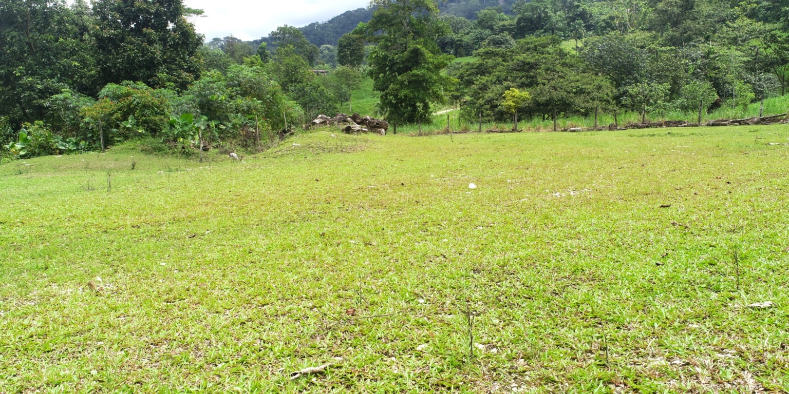 Safe & Private Building Lot in a Gated Community with Incredible Ocean Views & Legal Water in Turistico Tortuga Phase 6 in Ojochal Costa Rica