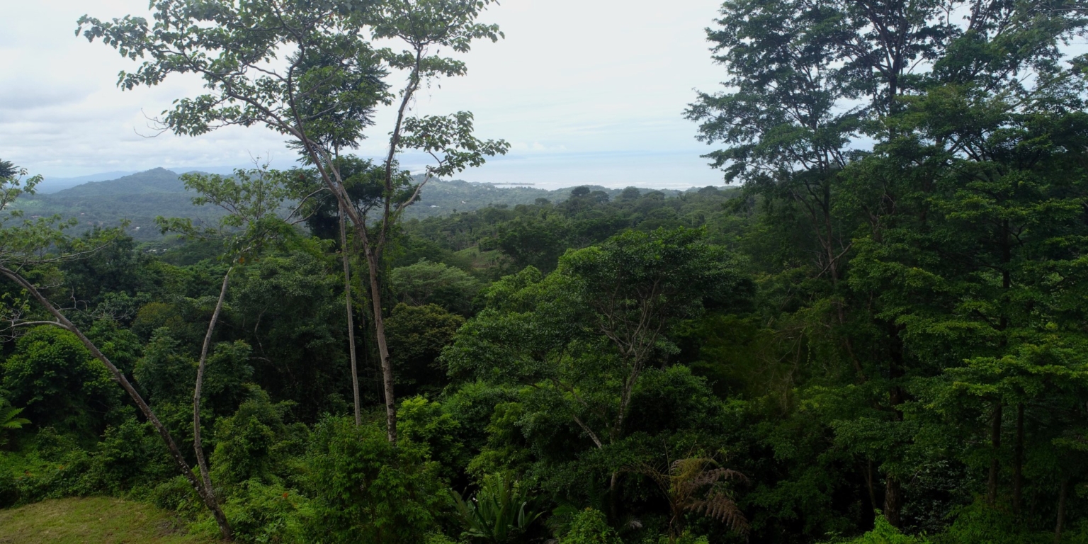Safe & Private Building Lot in a Gated Community with Incredible Ocean Views & Legal Water in Turistico Tortuga Phase 6 in Ojochal Costa Rica