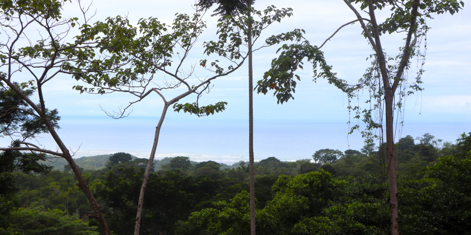 Safe & Private Building Lot in a Gated Community with Incredible Ocean Views & Legal Water in Turistico Tortuga Phase 6 in Ojochal Costa Rica