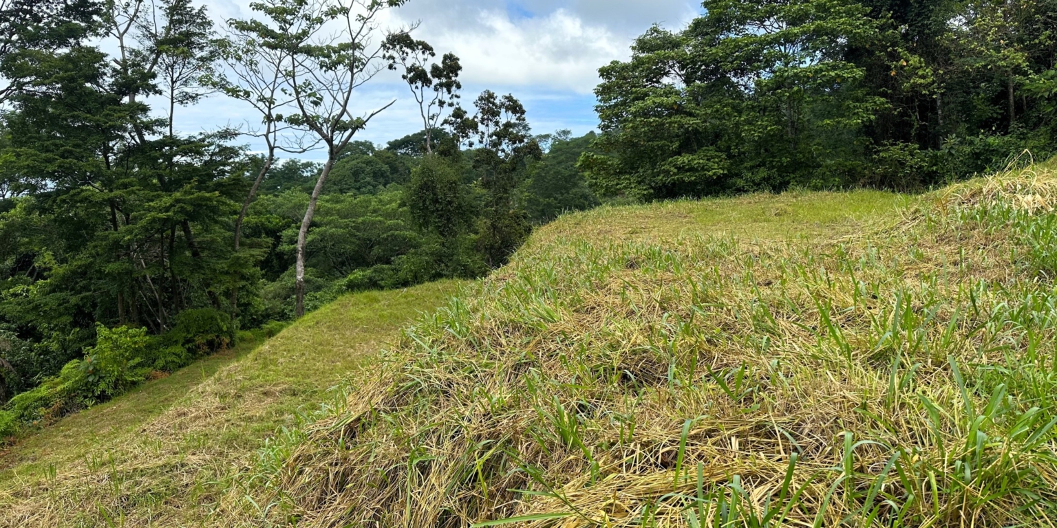 Safe & Private Building Lot in a Gated Community with Incredible Ocean Views & Legal Water in Turistico Tortuga Phase 6 in Ojochal Costa Rica
