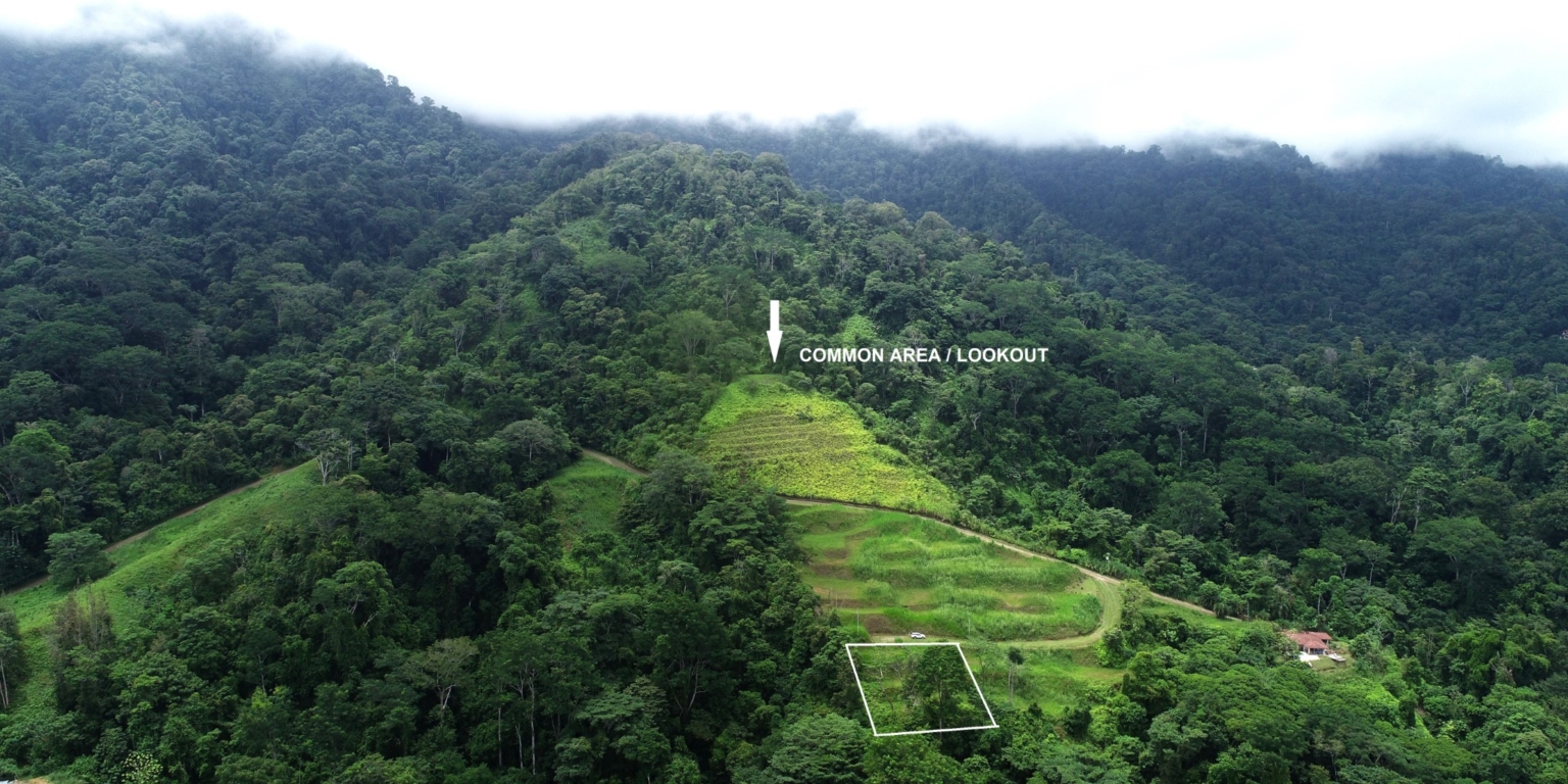 Safe & Private Building Lot in a Gated Community with Incredible Ocean Views & Legal Water in Turistico Tortuga Phase 6 in Ojochal Costa Rica