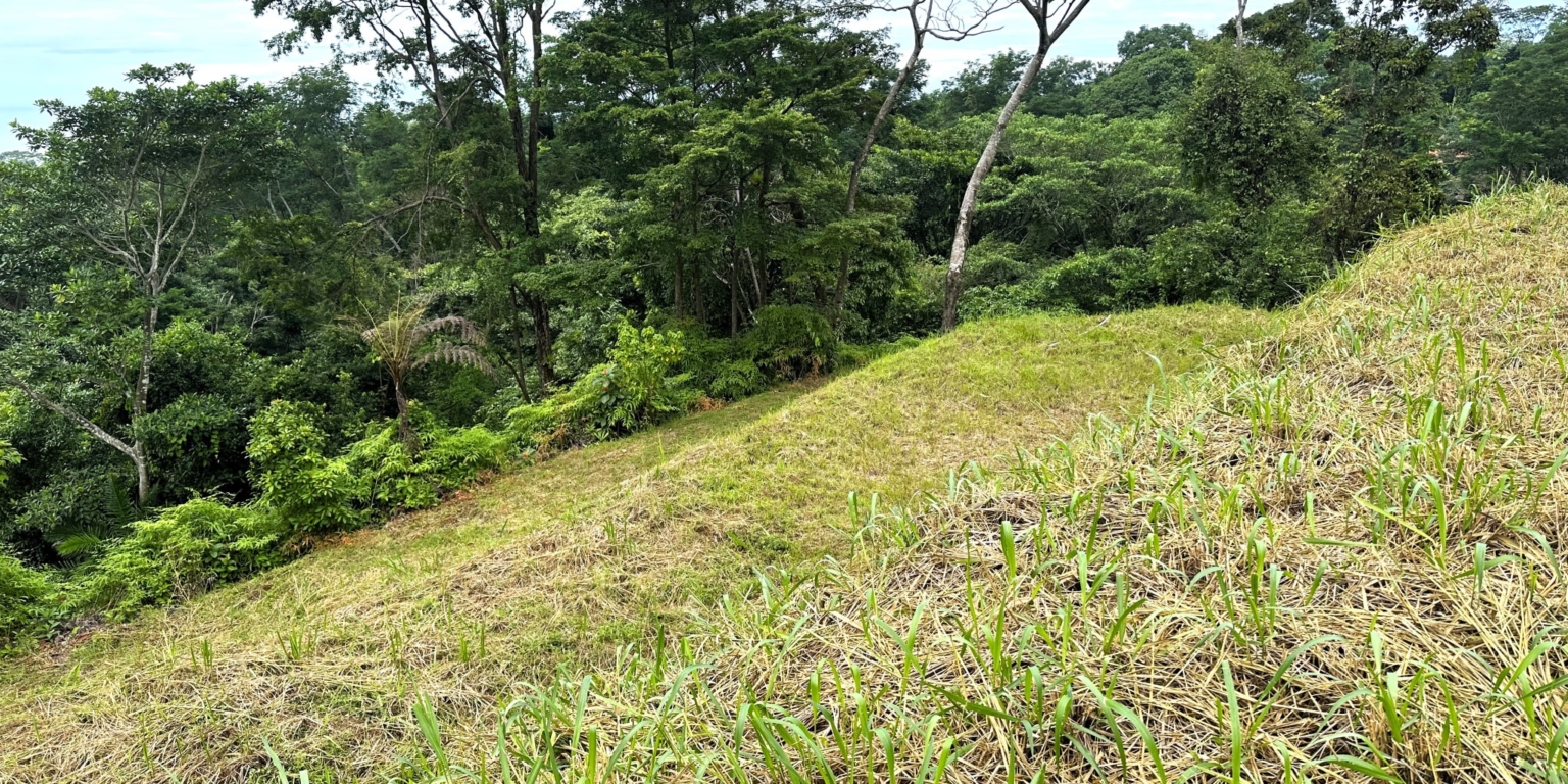 Safe & Private Building Lot in a Gated Community with Incredible Ocean Views & Legal Water in Turistico Tortuga Phase 6 in Ojochal Costa Rica