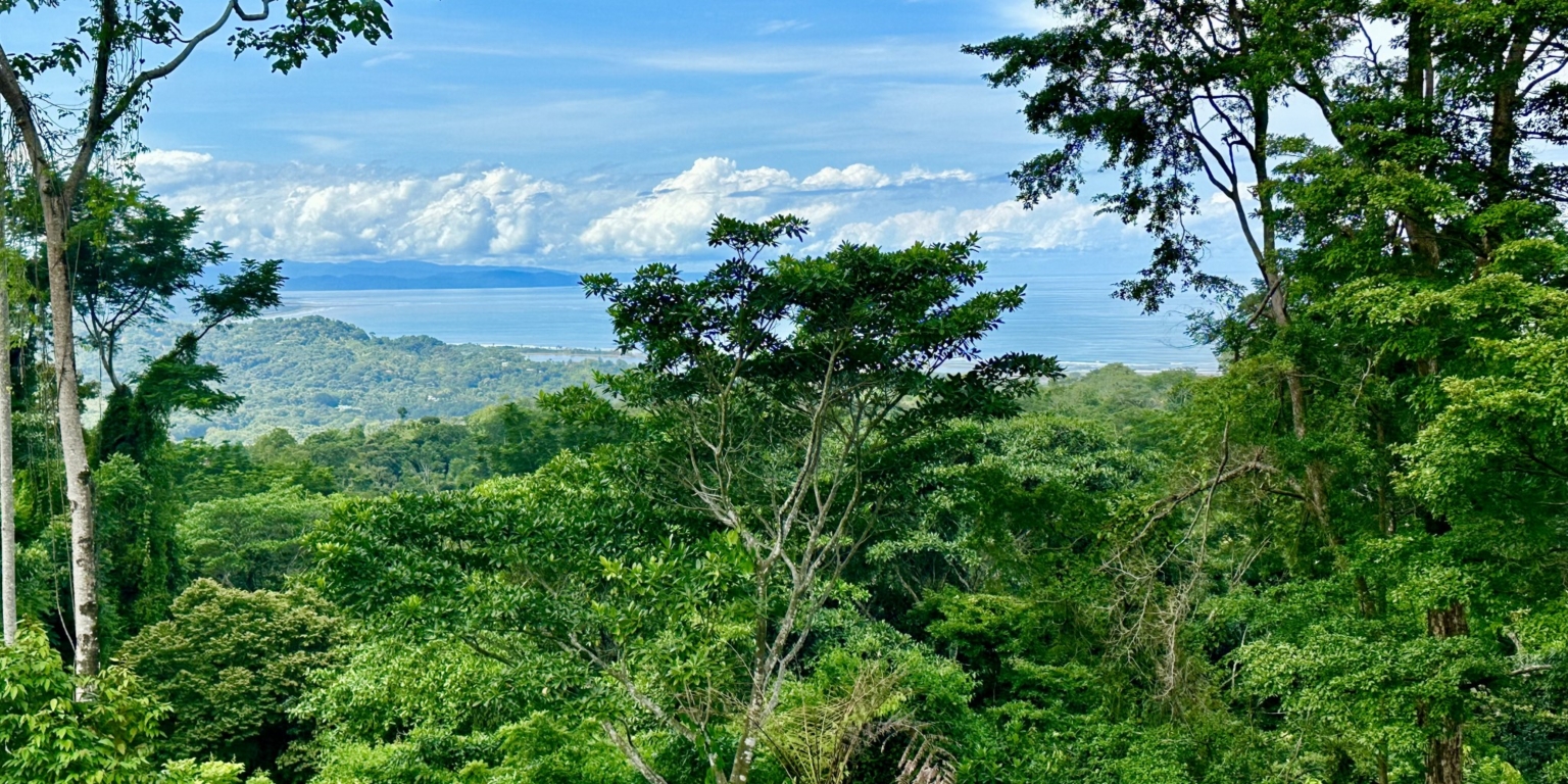 Safe & Private Building Lot in a Gated Community with Incredible Ocean Views & Legal Water in Turistico Tortuga Phase 6 in Ojochal Costa Rica