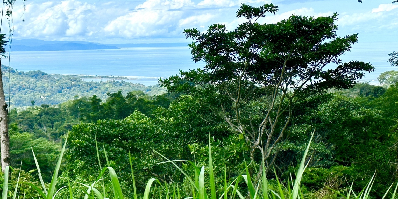 Safe & Private Building Lot in a Gated Community with Incredible Ocean Views & Legal Water in Turistico Tortuga Phase 6 in Ojochal Costa Rica