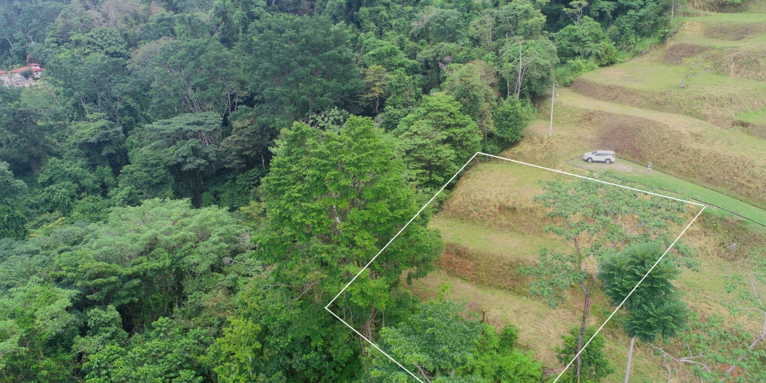 Safe & Private Building Lot in a Gated Community with Incredible Ocean Views & Legal Water in Turistico Tortuga Phase 6 in Ojochal Costa Rica