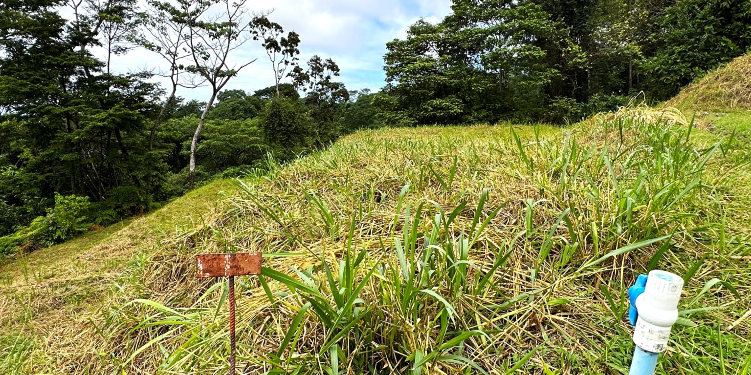 Safe & Private Building Lot in a Gated Community with Incredible Ocean Views & Legal Water in Turistico Tortuga Phase 6 in Ojochal Costa Rica