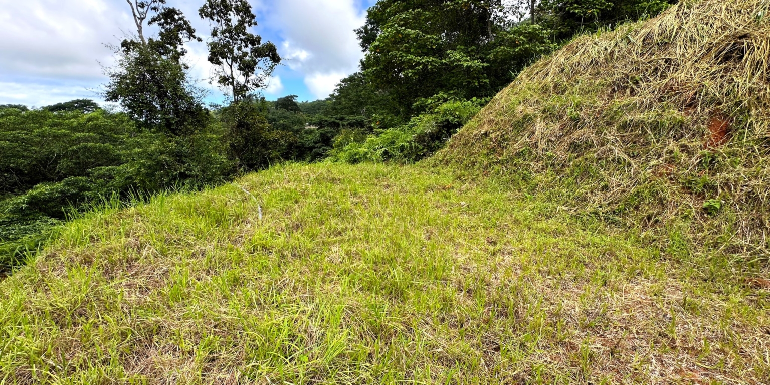 Safe & Private Building Lot in a Gated Community with Incredible Ocean Views & Legal Water in Turistico Tortuga Phase 6 in Ojochal Costa Rica