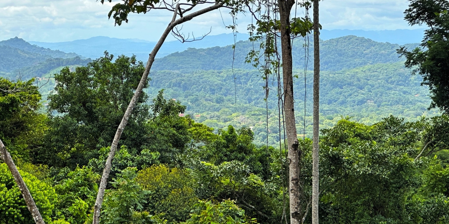 Safe & Private Building Lot in a Gated Community with Incredible Ocean Views & Legal Water in Turistico Tortuga Phase 6 in Ojochal Costa Rica