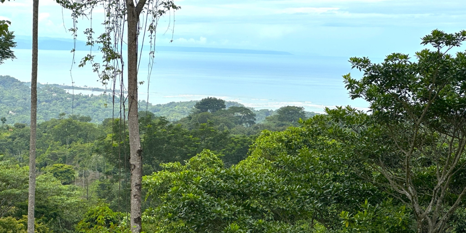 Safe & Private Building Lot in a Gated Community with Incredible Ocean Views & Legal Water in Turistico Tortuga Phase 6 in Ojochal Costa Rica