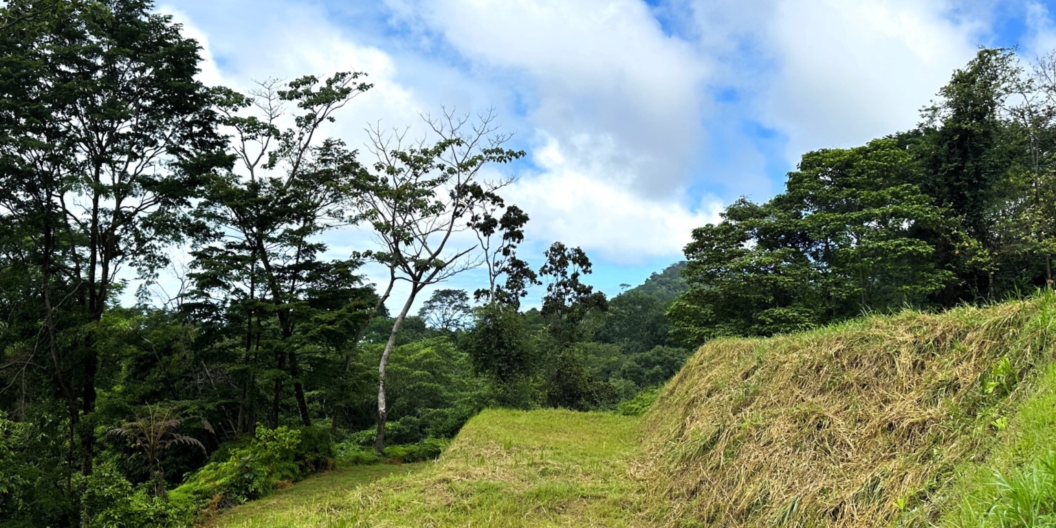Safe & Private Building Lot in a Gated Community with Incredible Ocean Views & Legal Water in Turistico Tortuga Phase 6 in Ojochal Costa Rica