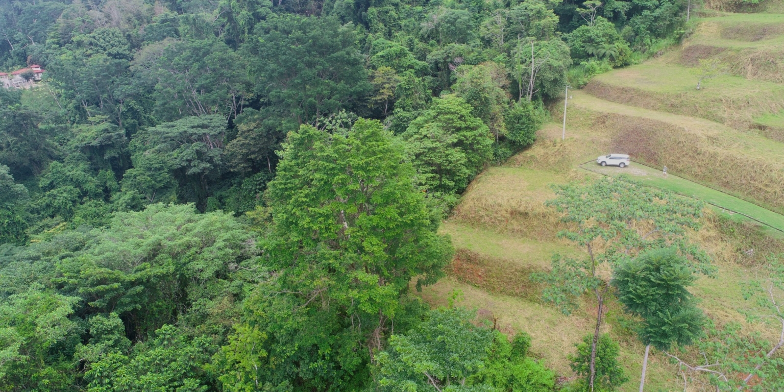 Safe & Private Building Lot in a Gated Community with Incredible Ocean Views & Legal Water in Turistico Tortuga Phase 6 in Ojochal Costa Rica