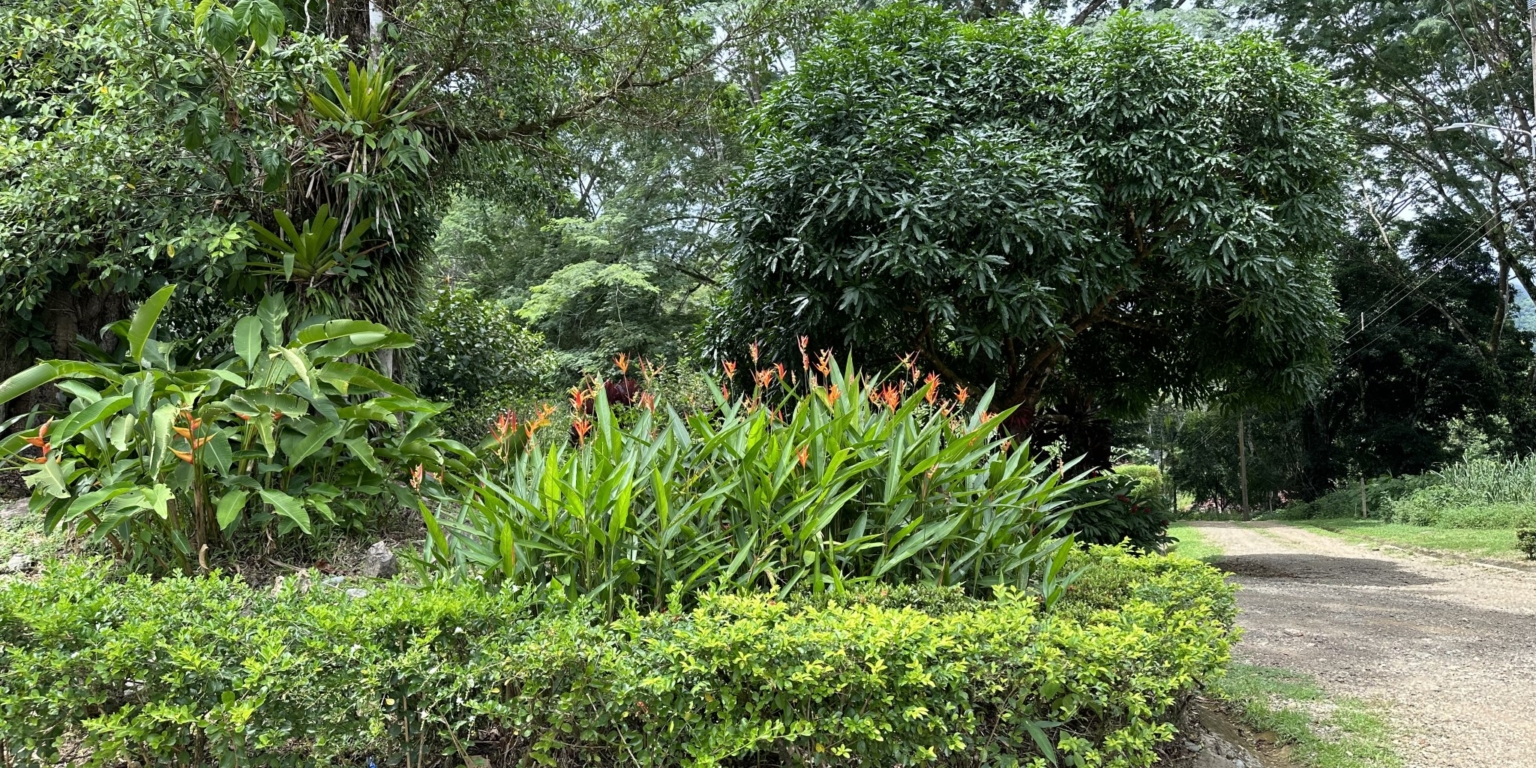 Cozy 2-Bedroom Home on Main Street with Affordable Price & Owner Financing Available in Hatillo near Dominical Costa Rica
