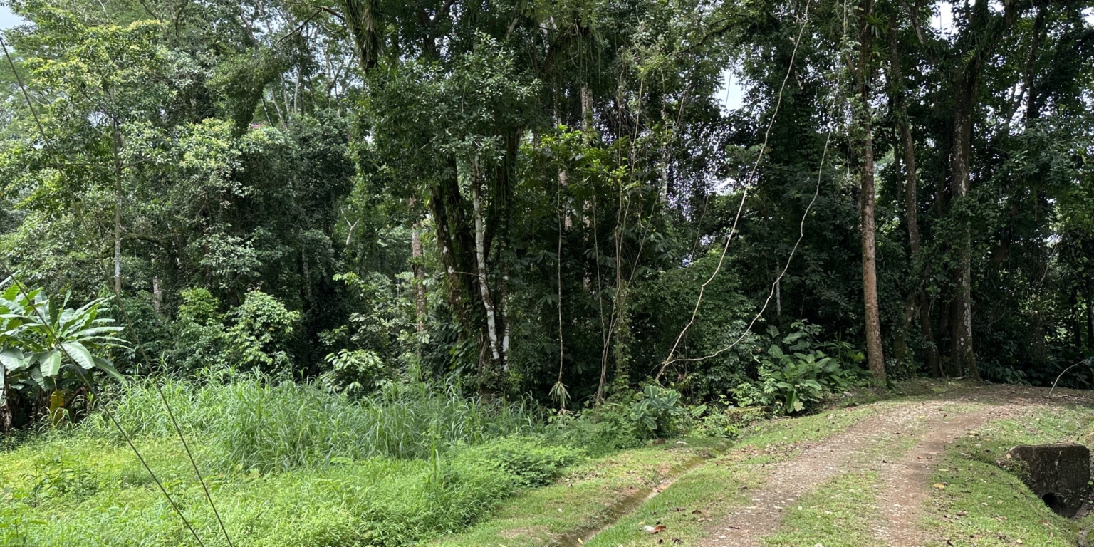 Cozy 2-Bedroom Home on Main Street with Affordable Price & Owner Financing Available in Hatillo near Dominical Costa Rica