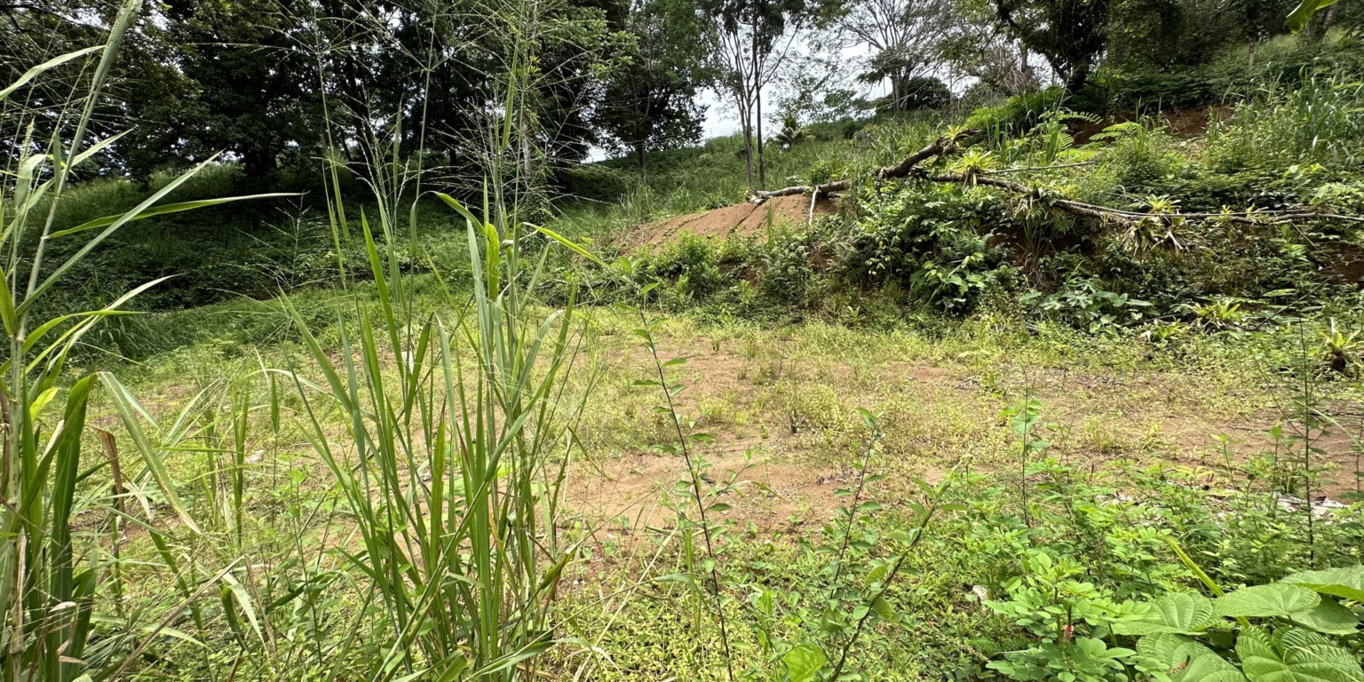 Cozy 2-Bedroom Home on Main Street with Affordable Price & Owner Financing Available in Hatillo near Dominical Costa Rica
