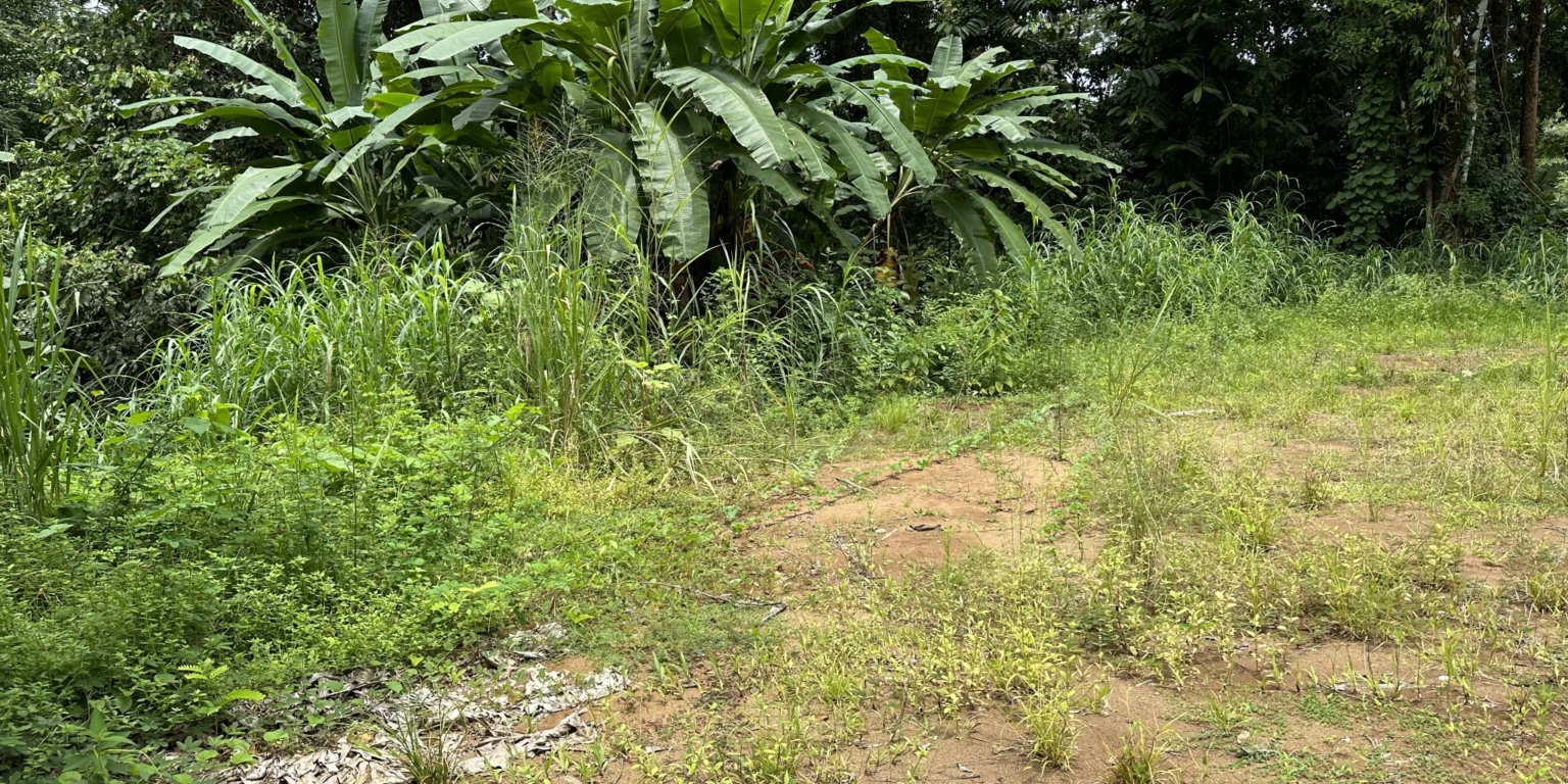 Cozy 2-Bedroom Home on Main Street with Affordable Price & Owner Financing Available in Hatillo near Dominical Costa Rica