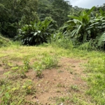 Cozy 2-Bedroom Home on Main Street with Affordable Price & Owner Financing Available in Hatillo near Dominical Costa Rica