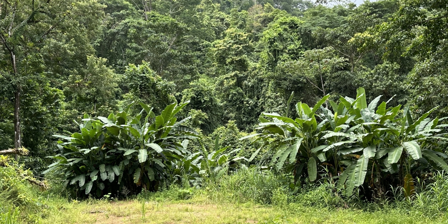 Cozy 2-Bedroom Home on Main Street with Affordable Price & Owner Financing Available in Hatillo near Dominical Costa Rica