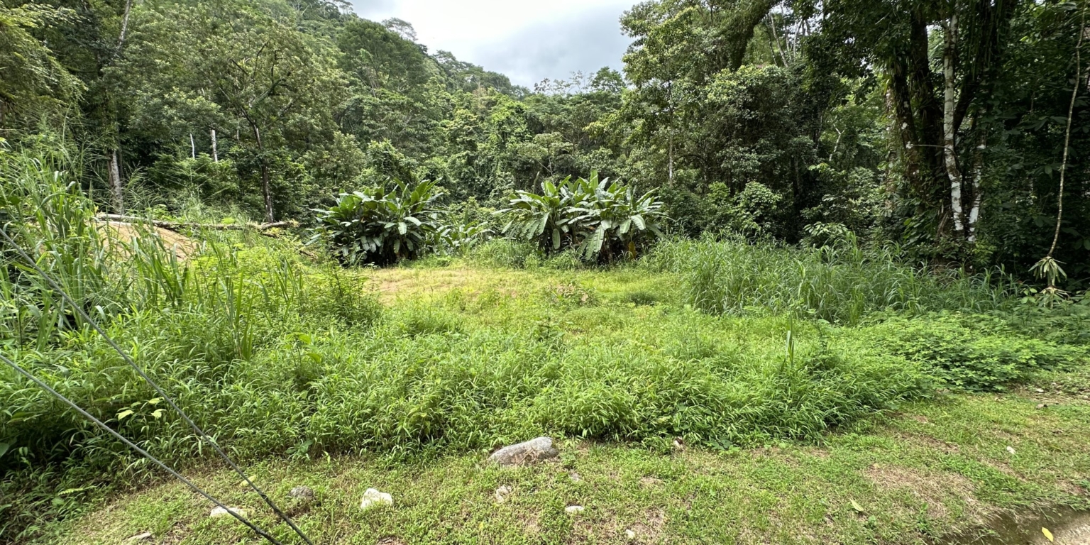 Cozy 2-Bedroom Home on Main Street with Affordable Price & Owner Financing Available in Hatillo near Dominical Costa Rica