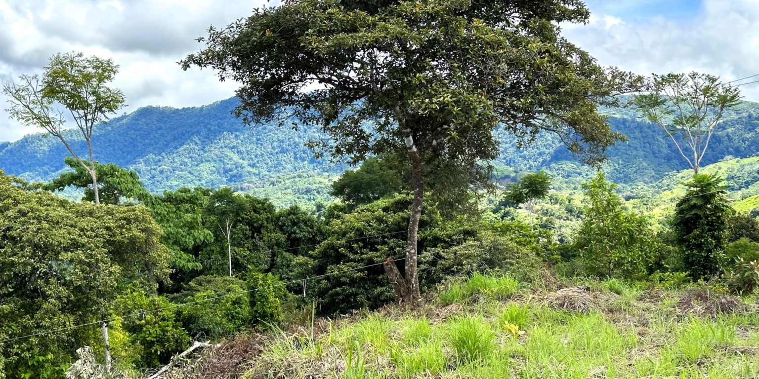 Two Acre Lot with 360-Degree Views of Ocean & Mountains in Chontales Costa Rica