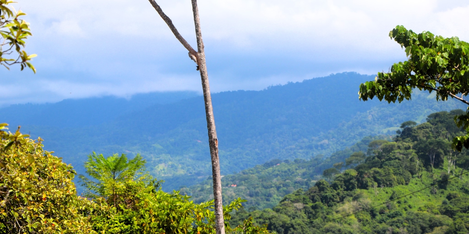 Two Acre Lot with 360-Degree Views of Ocean & Mountains in Chontales Costa Rica
