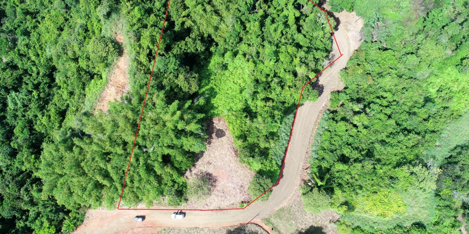 Two Acre Lot with 360-Degree Views of Ocean & Mountains in Chontales Costa Rica