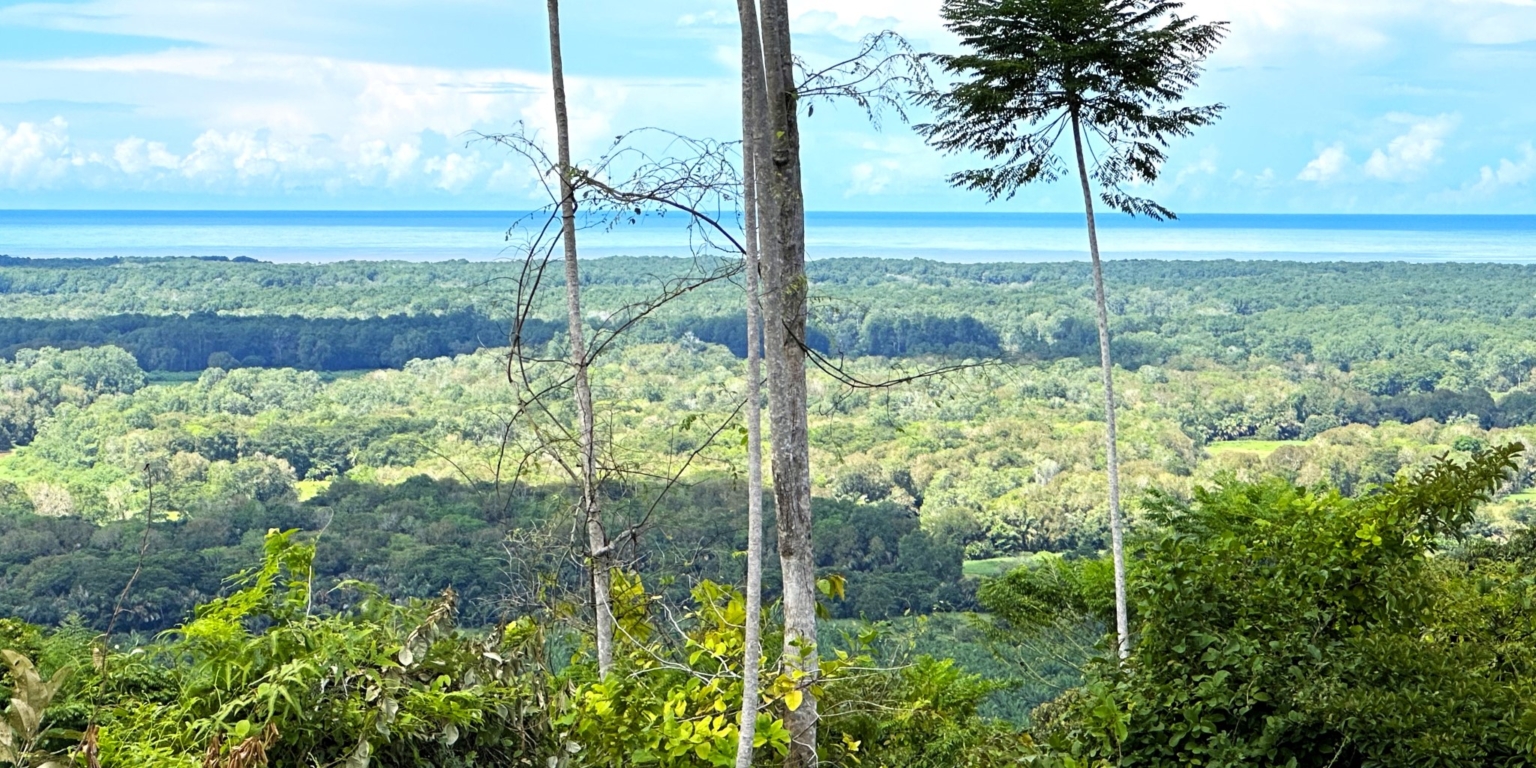 Two Acre Lot with 360-Degree Views of Ocean & Mountains in Chontales Costa Rica