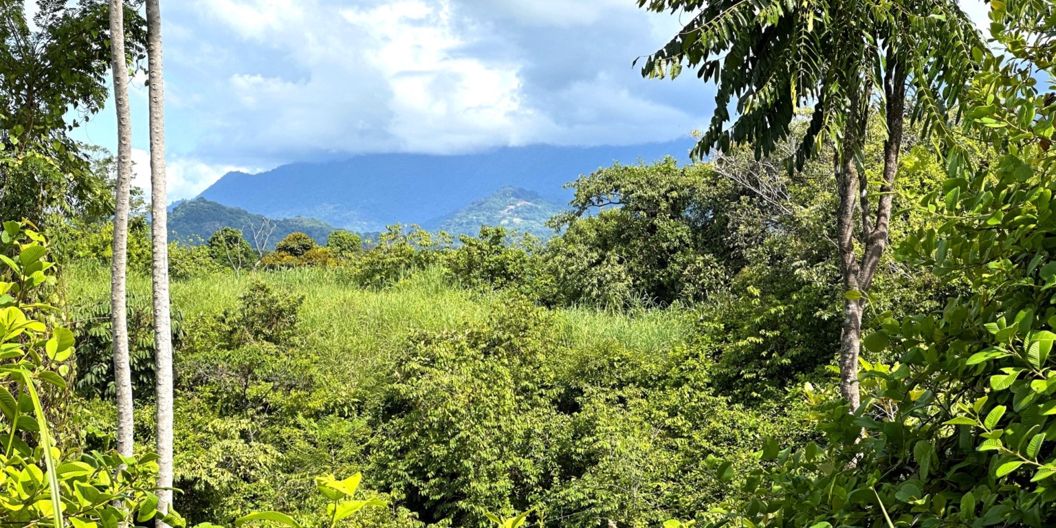 Two Acre Lot with 360-Degree Views of Ocean & Mountains in Chontales Costa Rica