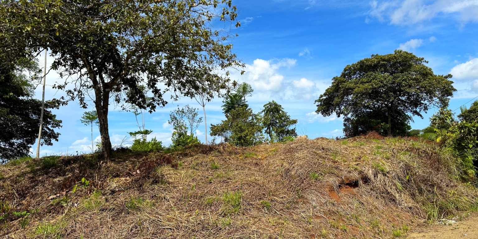 Two Acre Lot with 360-Degree Views of Ocean & Mountains in Chontales Costa Rica